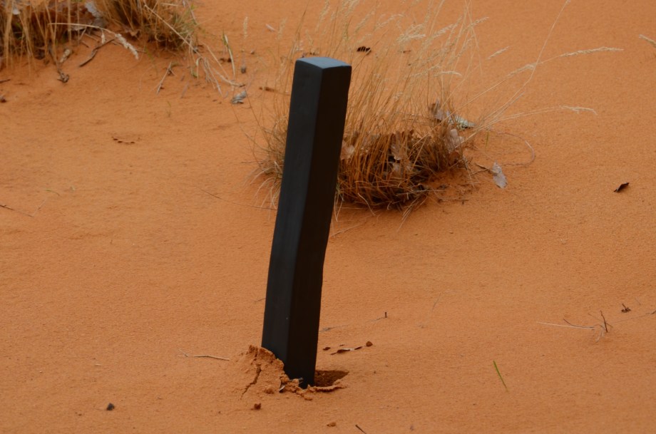 DSC_2385 - copie.jpg